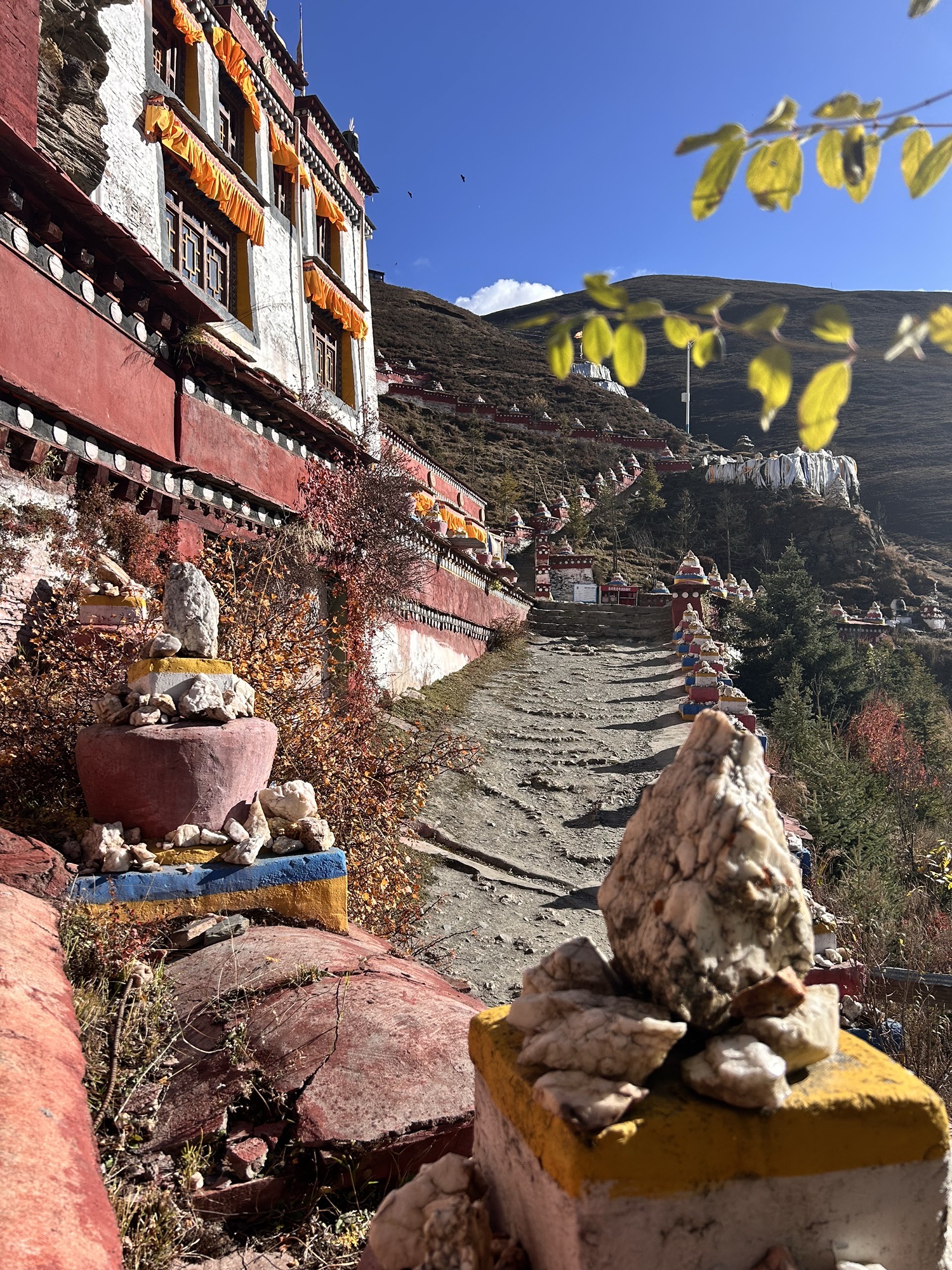 洛卓窝隆寺实景照片