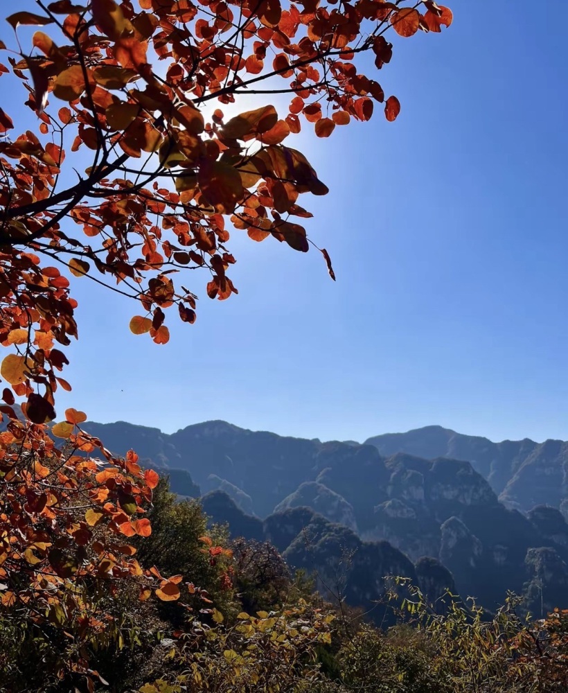 易县千佛山森林公园景点图片