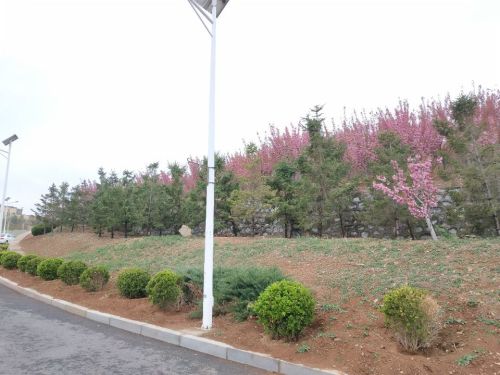 仙山公园旅行图片 2