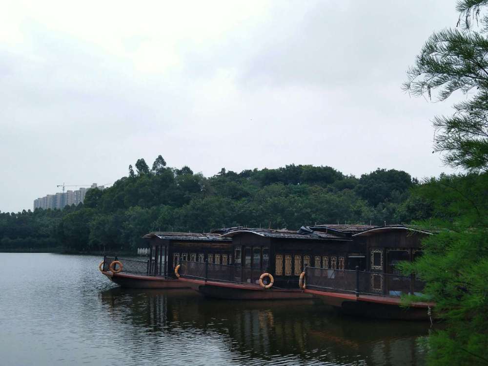 三水森林公园景点图片