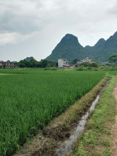 茅坡文化南楼旅行图片 1