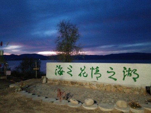 富江花海旅行图片 2