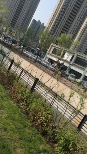 新村公园旅行图片 3