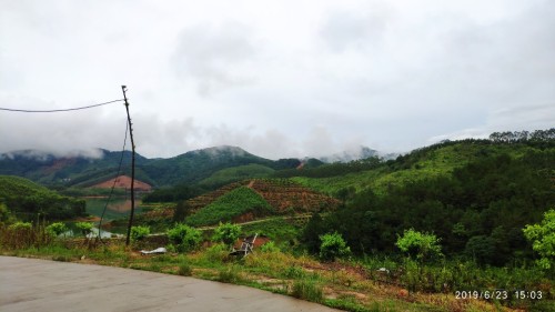 大任水库景区观光台旅行图片 1