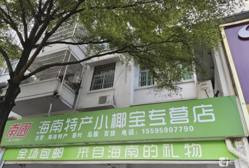 海南特产小椰宝专营店