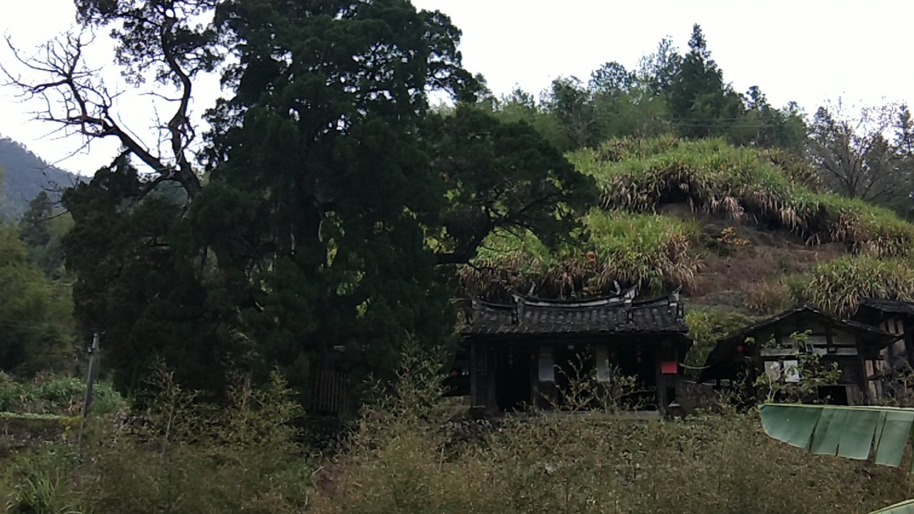 昭灵庵实景照片