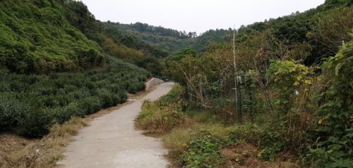 西山风景区-爱日堂
