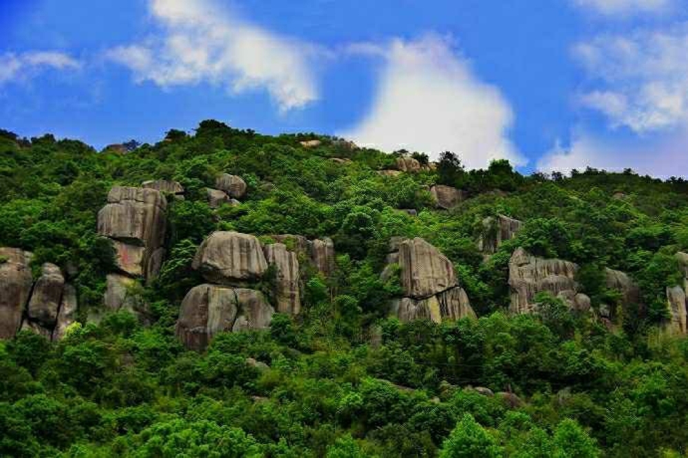 杨家溪景区景点图片