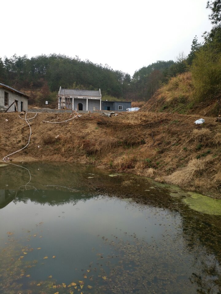 玄庙观实景照片