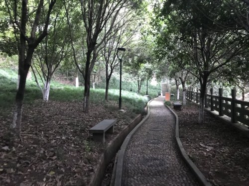梅山公园旅行图片 2