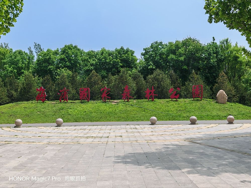 海滨国家森林公园景点图片
