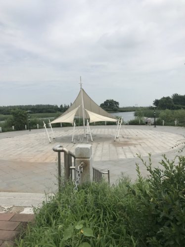 蒲河滩地公园旅行图片 2