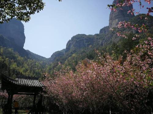永嘉南涯森林公园旅行图片 3