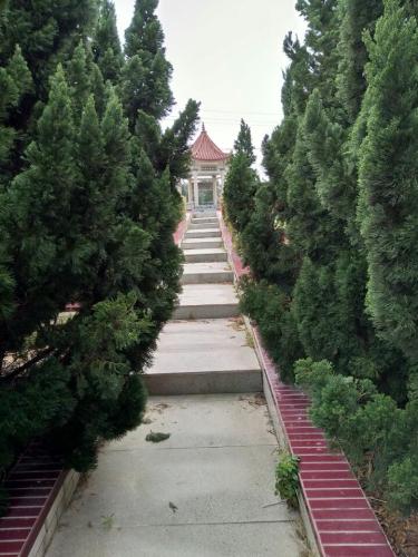 郑友尚公园旅行图片 1