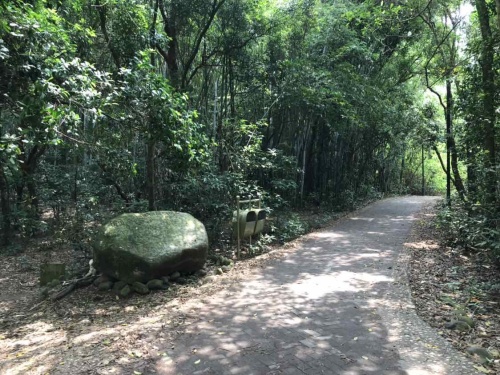 古榕部落旅行图片 1