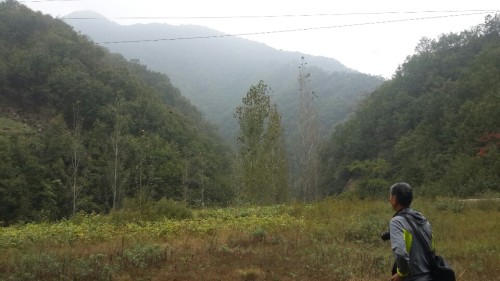 杨山风景区旅行图片 3
