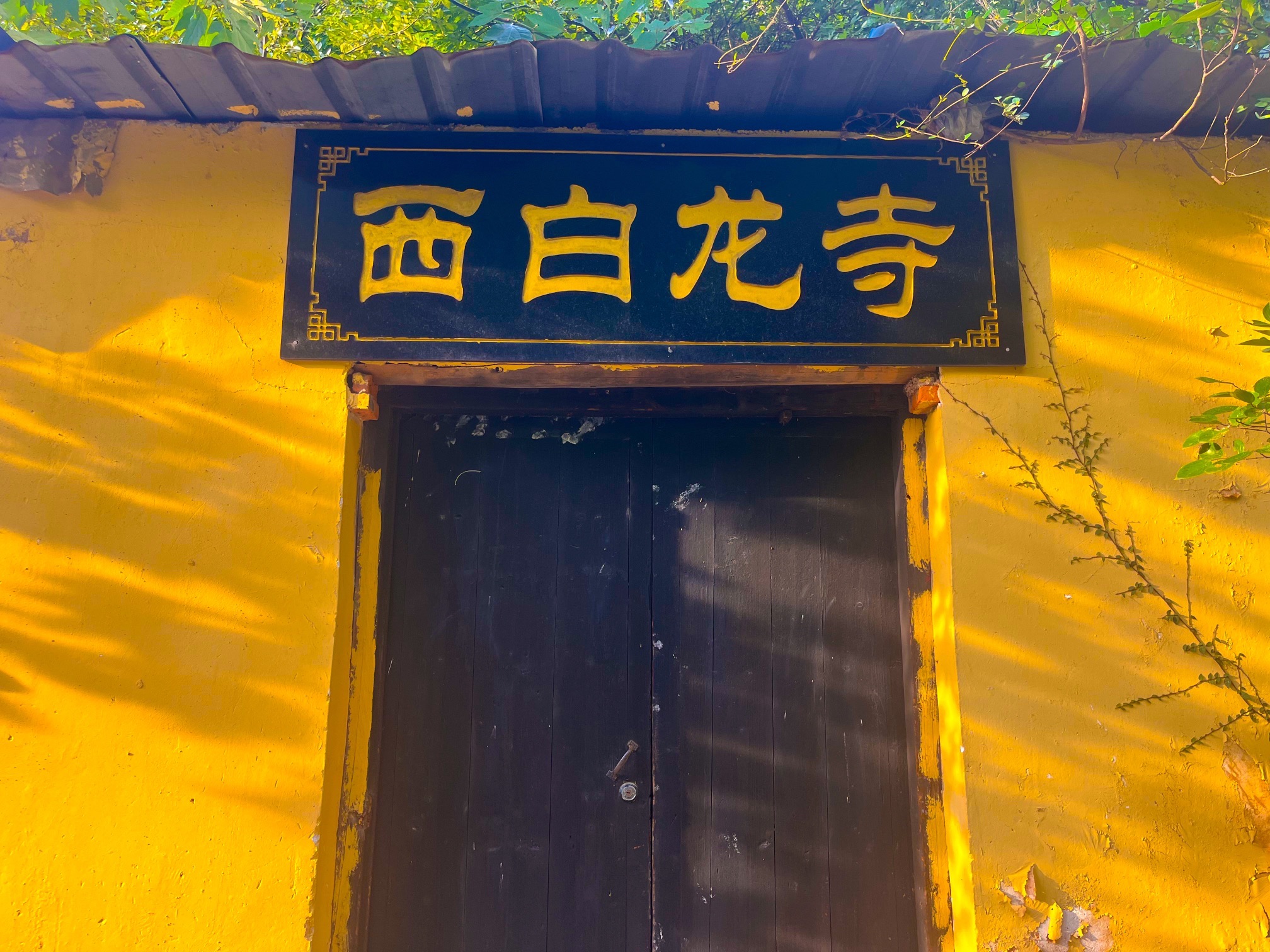 大阳山西白龙寺实景照片