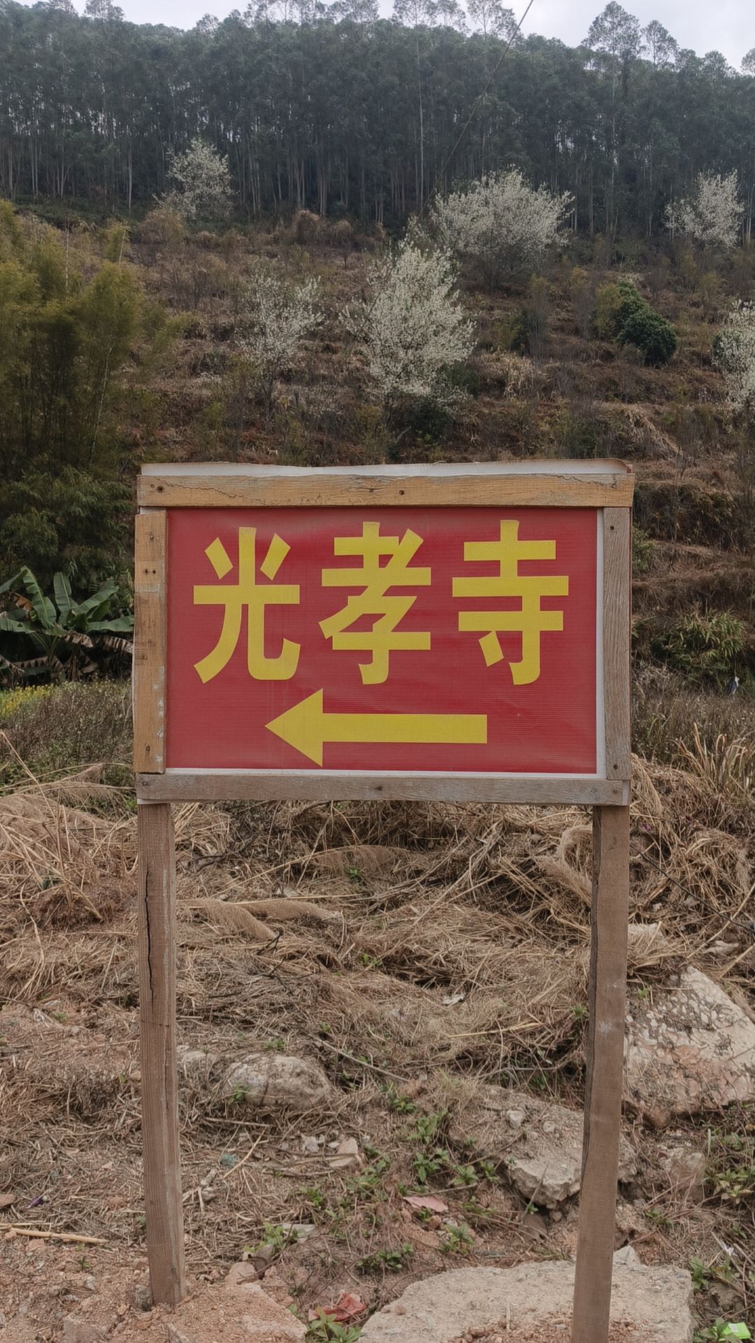 光孝寺实景照片