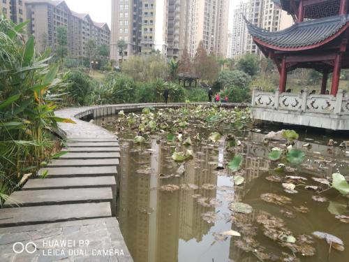 八景园旅行图片 2