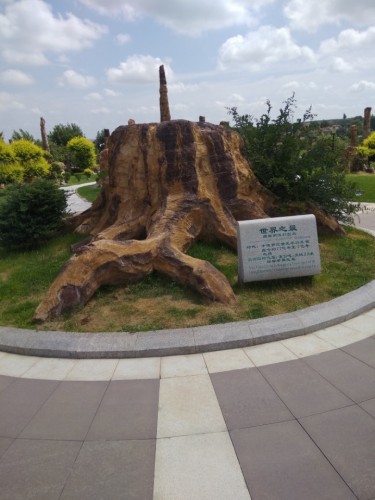 恐龙化石产地旅行图片 1