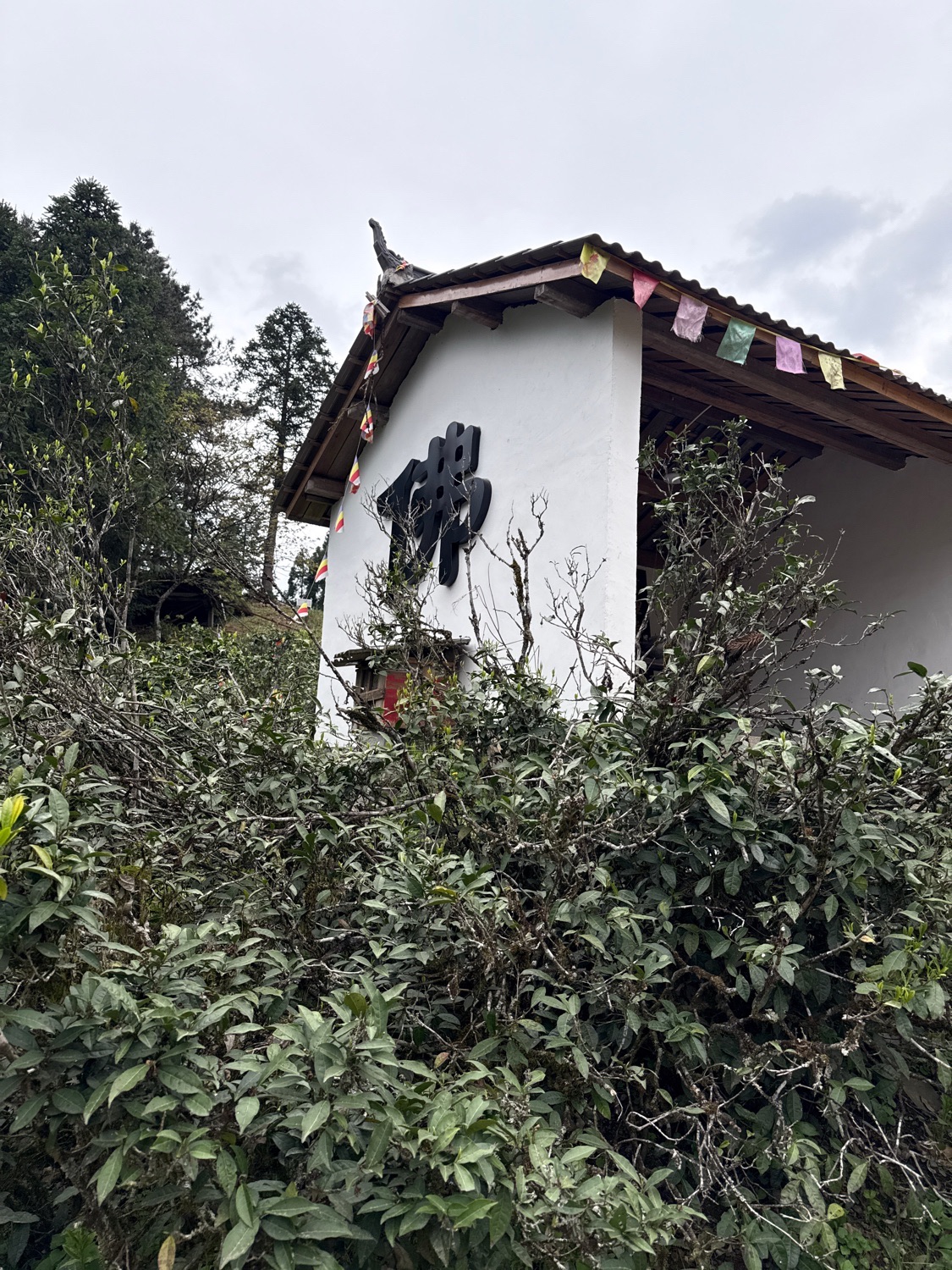 双泉山寺实景照片