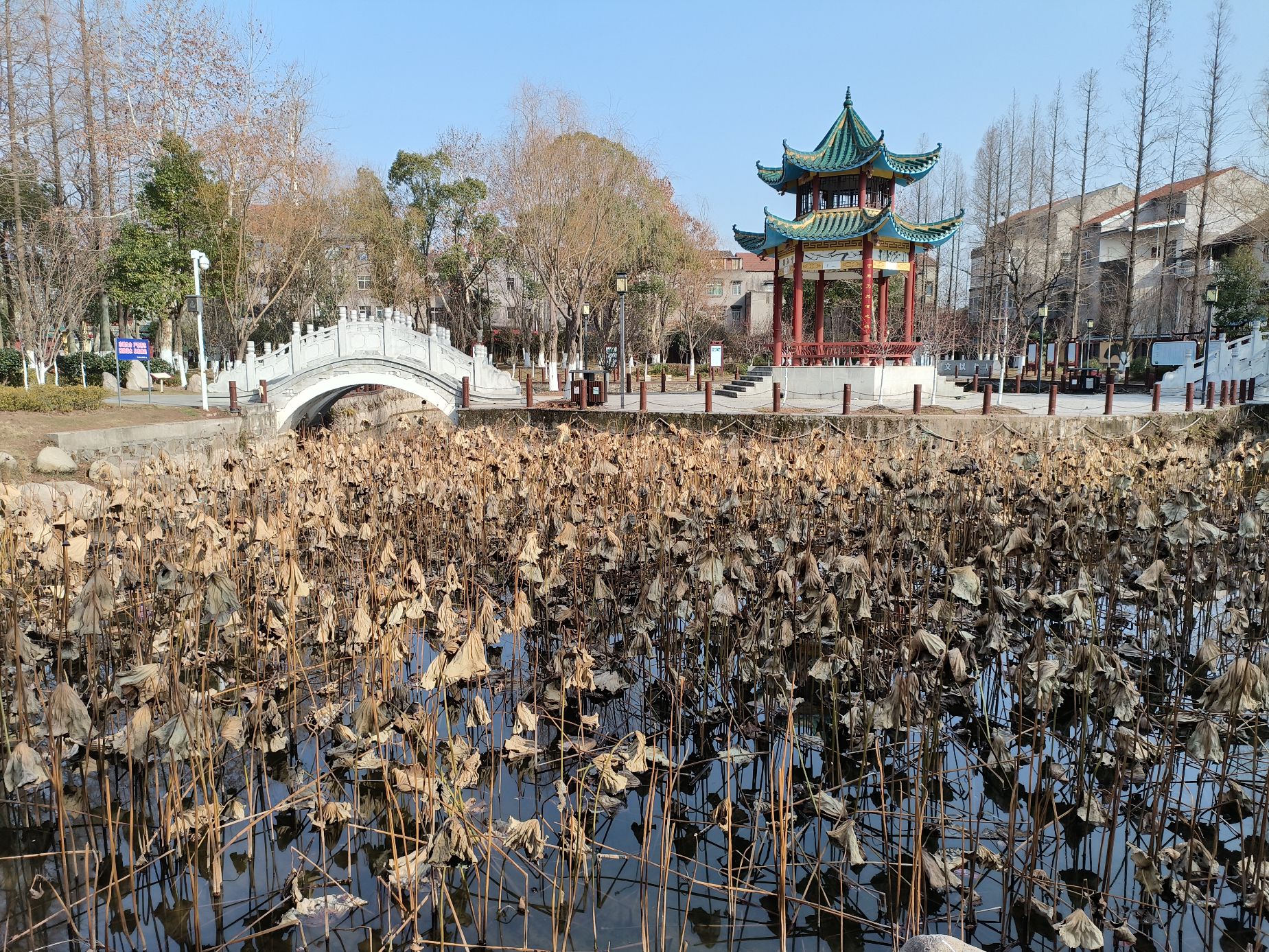 九华寺实景照片