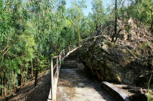 后载岭旅行图片 2