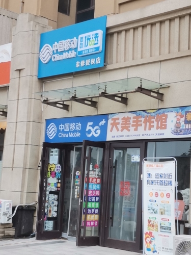 中国移动(东修授权店)