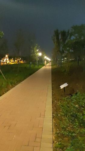 盛桥公园旅行图片 2