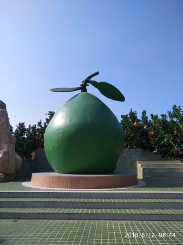 大埔蜜柚公园旅行图片 2