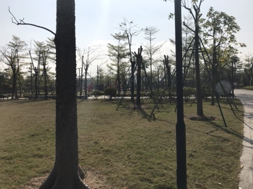 凤山公园旅行图片 2