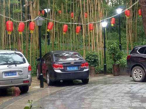 楠木渡森林公园旅行图片 1