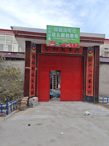 你就没吃过这么甜的草莓