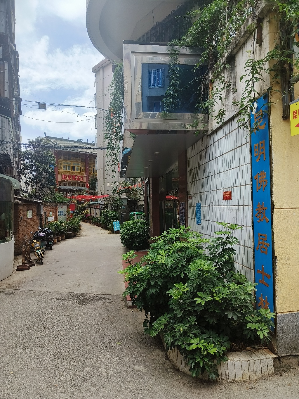 昆明佛教居士林实景照片
