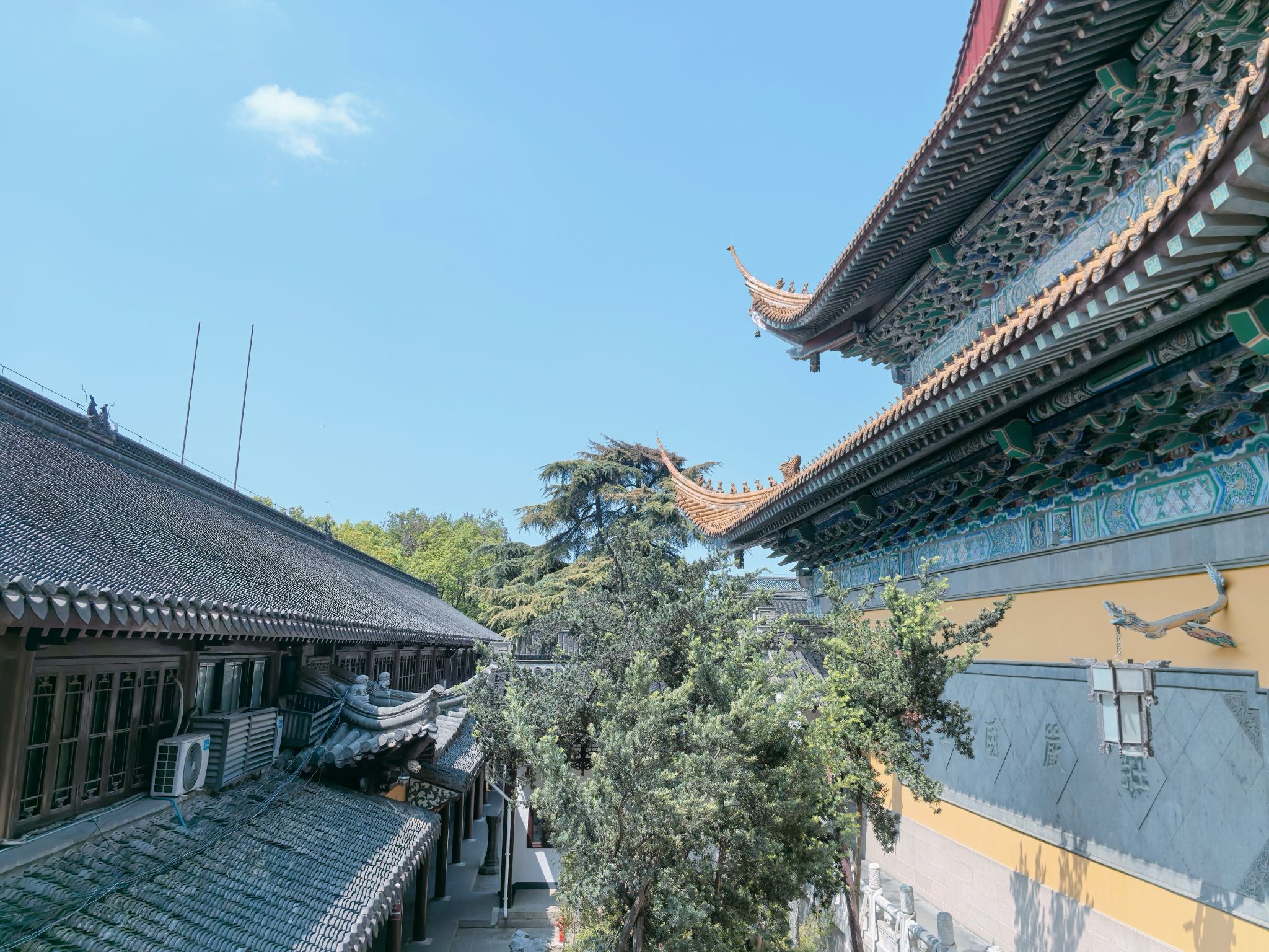 金山公园-大雄宝殿实景照片