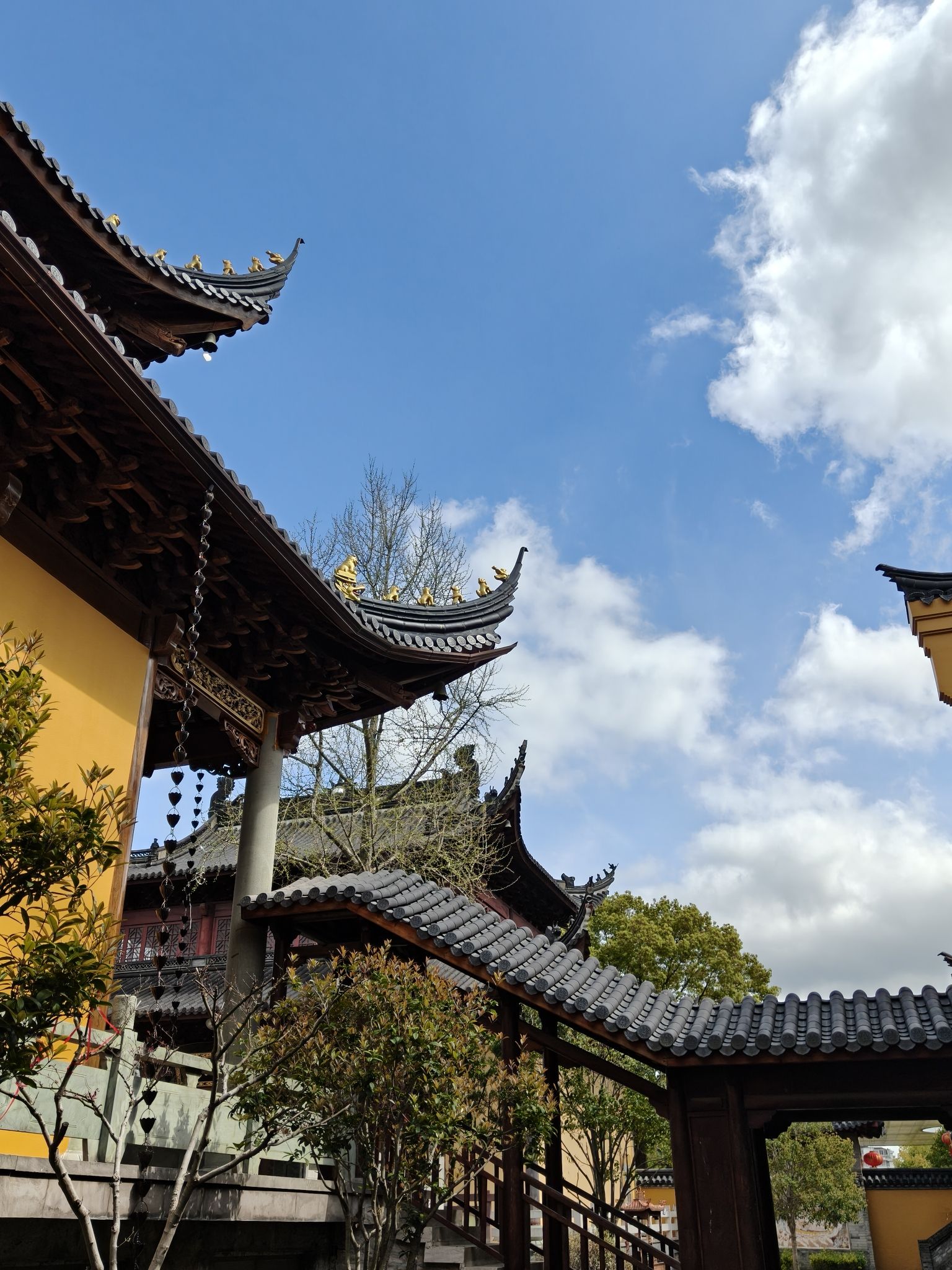 静宗禅寺实景照片