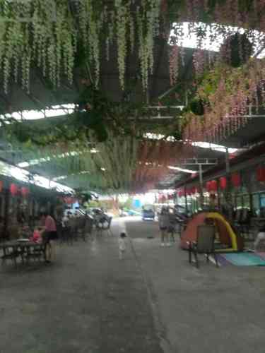雨花广场旅行图片 1