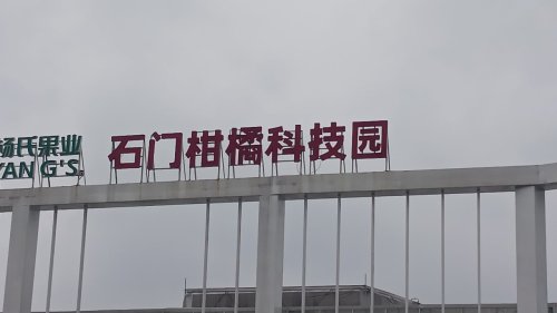 石门柑橘科技园实景图（2）