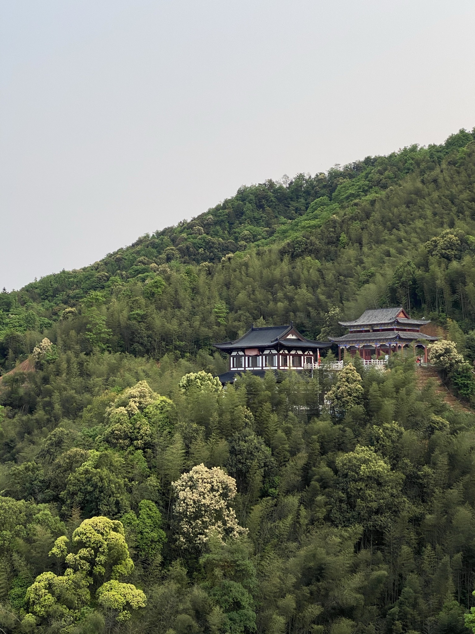 将军山广源禅寺实景照片