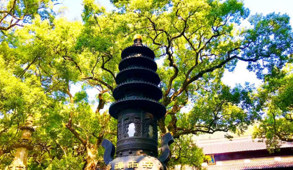 法雨禅寺实景照片