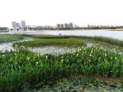 瑞阳湖湿地公园旅行图片 1