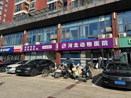 河北动物医院24小时CT微创异宠肿瘤外科(和平店)