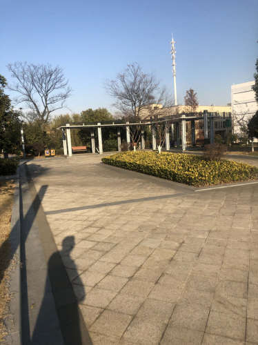 百合湖公园旅行图片 2