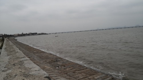 泉州湾河口湿地旅行图片 2