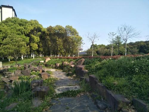 澄园旅行图片 1