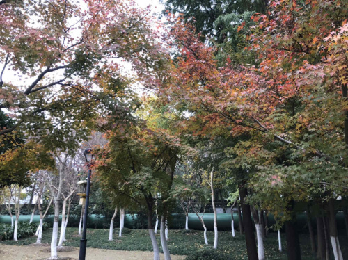 东湖园旅行图片 1