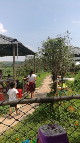 邵阳市新塘花海旅行图片 3