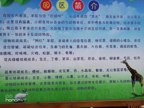 萌宝亲子动物园旅行图片 1