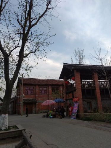 信阳明港新集村百亩油菜园旅行图片 2