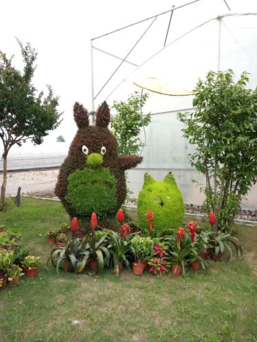 南京多肉植物园旅行图片 2